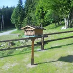 In Niederndorf Near Kufstein With Balcony Chalet